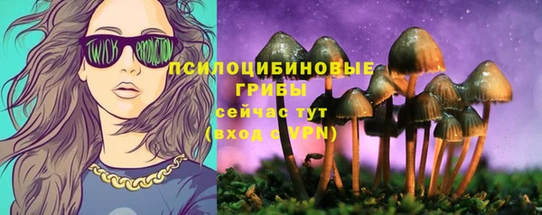 MDMA Белокуриха